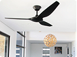 Ceiling Fan Installation